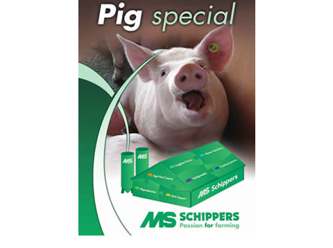 schippers